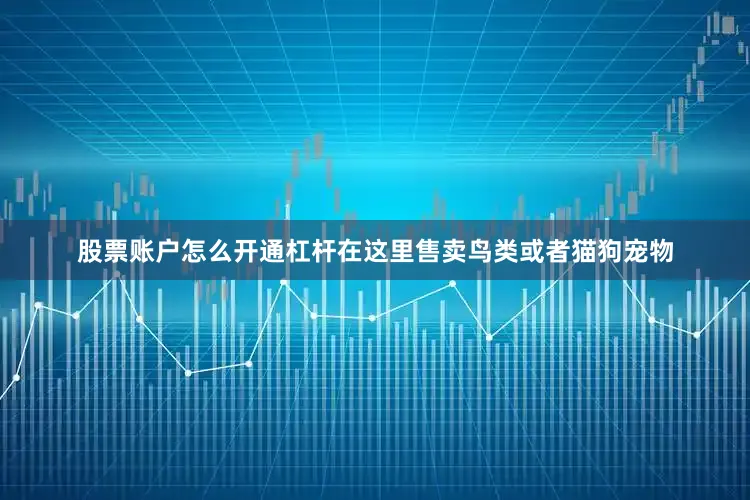 股票账户怎么开通杠杆在这里售卖鸟类或者猫狗宠物