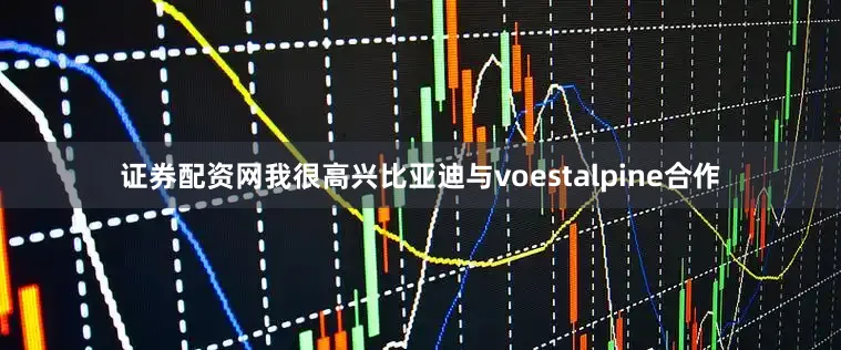 证券配资网我很高兴比亚迪与voestalpine合作