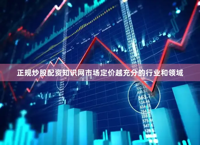 正规炒股配资知识网市场定价越充分的行业和领域