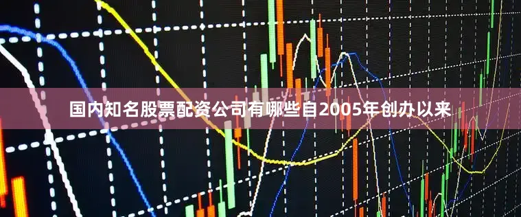 国内知名股票配资公司有哪些自2005年创办以来